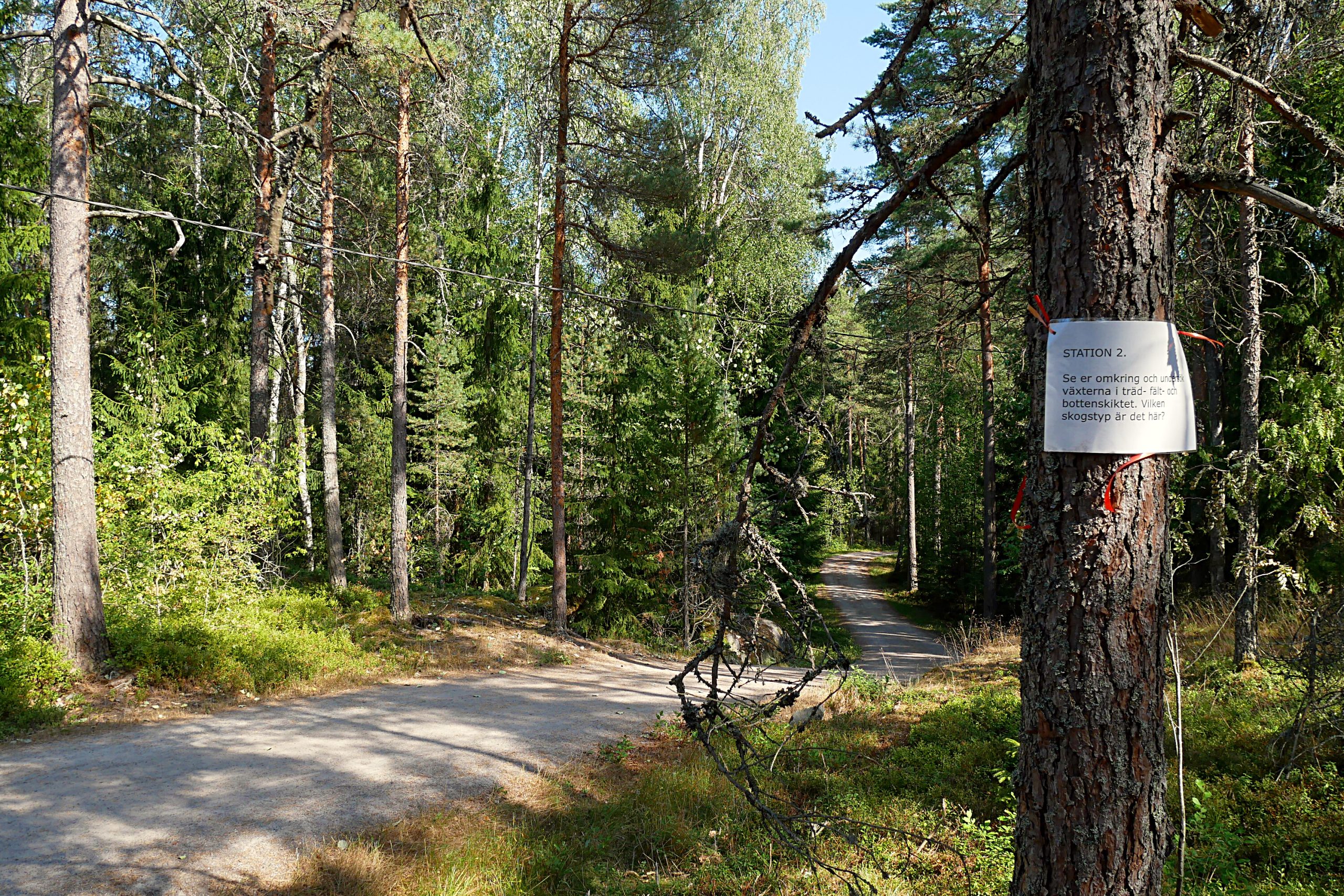 Espoon keskuspuiston yövalaistus uusiksi: vähemmän häiriötä, enemmän turvaa
