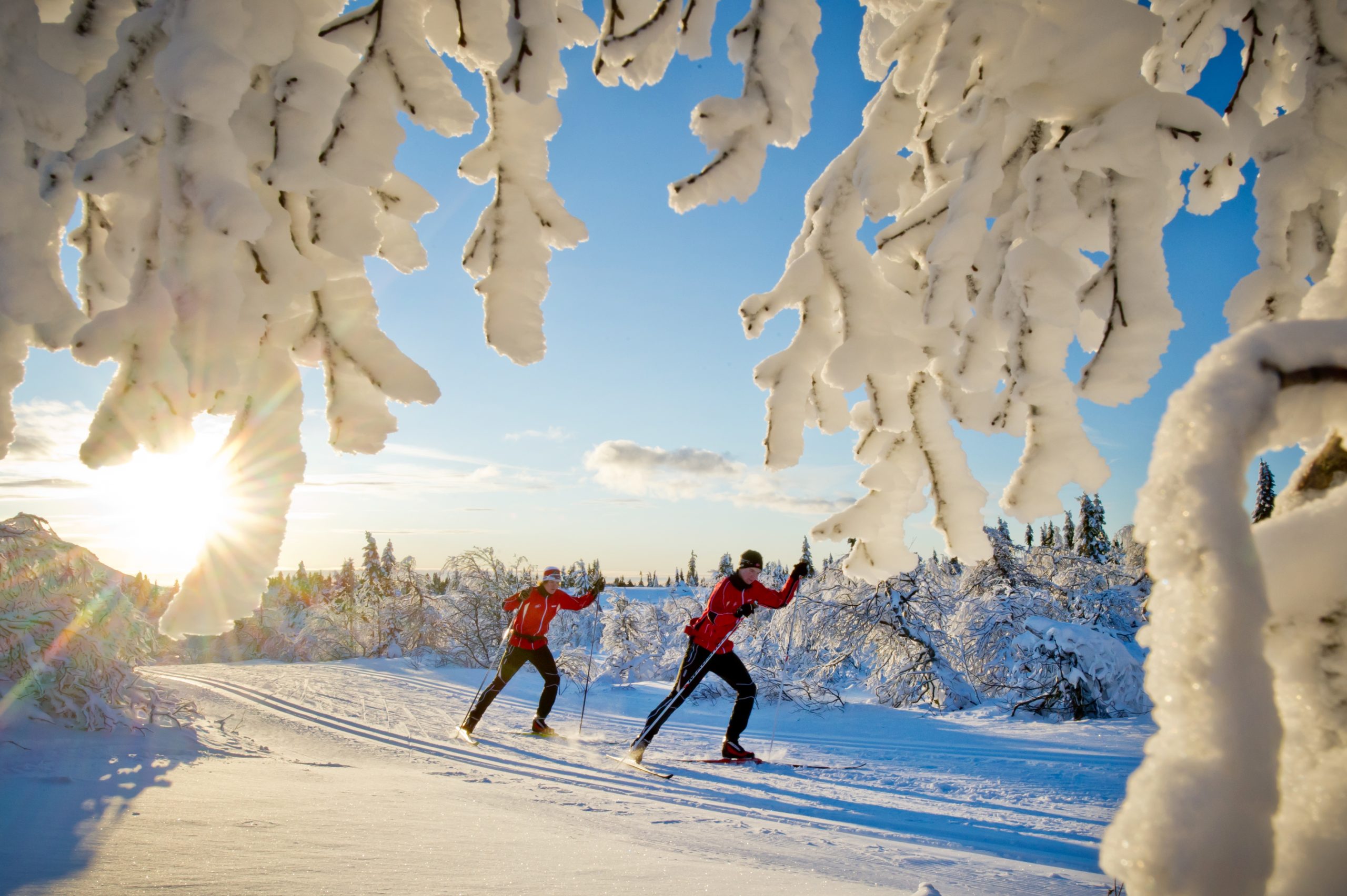 Hiihtokausi starttaa Espoossa: Oittaan ensilumenlatu avattu – 1 km valmista uraa