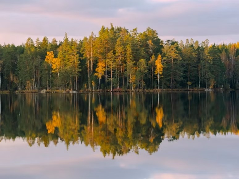 Espoo – Päivän uutiset (8.11.2025)