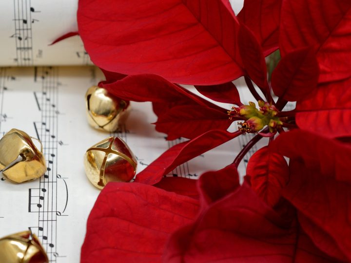 Kauneimmat joululaulut täyttää Metro Areenan – loppuun varattu yhteislaulu näkyy suorana Ylellä