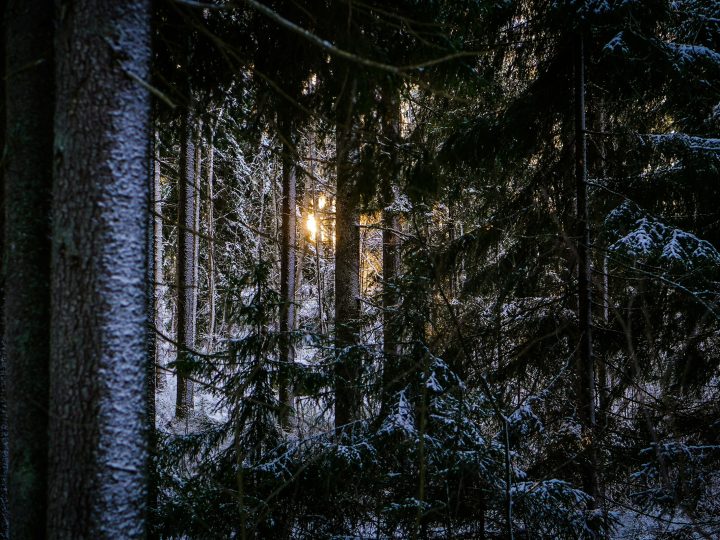 Espoon uutiskatsaus 5.–11.1.2026: Matinkylän ravintolapalon tutkinta, Tapiolan siltatuomiot ja Espoon keskuksen Prismatyömaa – 10 poimintaa