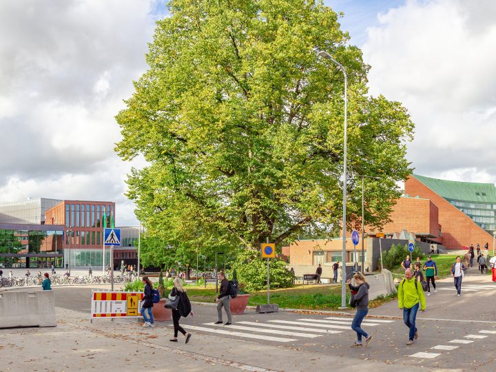 Studentum-listaus nostaa Espoon jälleen opiskelukaupunkien kärkikymmenikköön