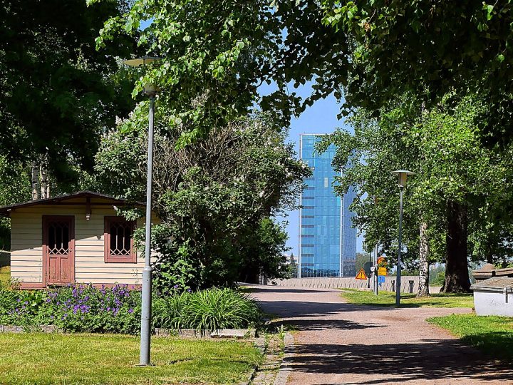 Espoo nostaa pihat ja puistot esiin luontotyössä – pienet teot voivat tukea suurta muutosta