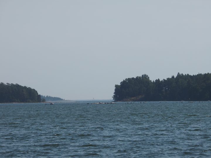 Vaarattomaksi osoittautunut lennokki pysäytti liikkumista Mellsteninrannassa