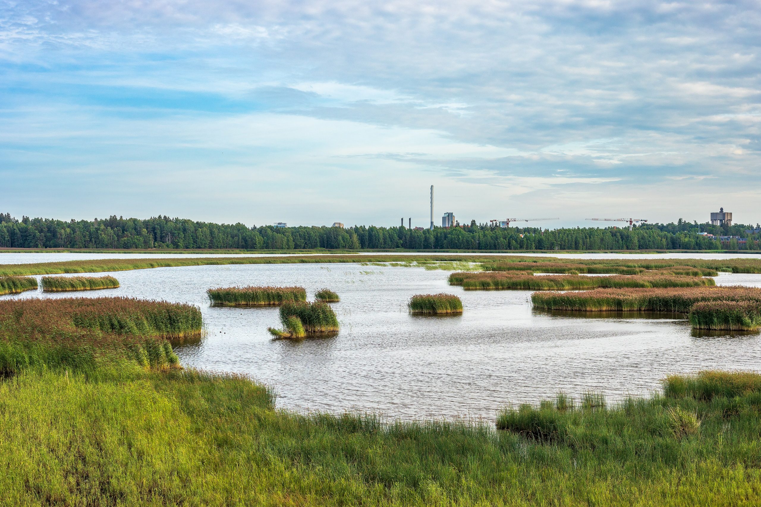Espoo sai neljä uutta luonnonsuojelualuetta – suojeltu pinta-ala kasvoi 69 hehtaarilla
