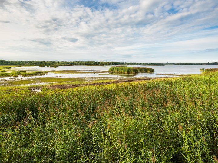 Suomenlahden droonivalvontaa kiristetään – Espoon rannikolla korostuu rauhallinen valppaus