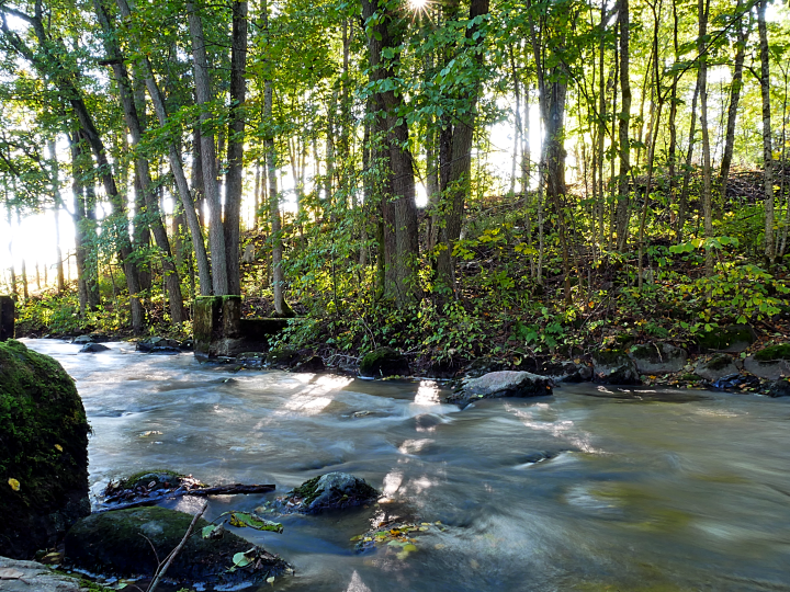 Mankinjoen kunnostus kytkee Espoonlahden ja Itämeren samaan vesiketjuun