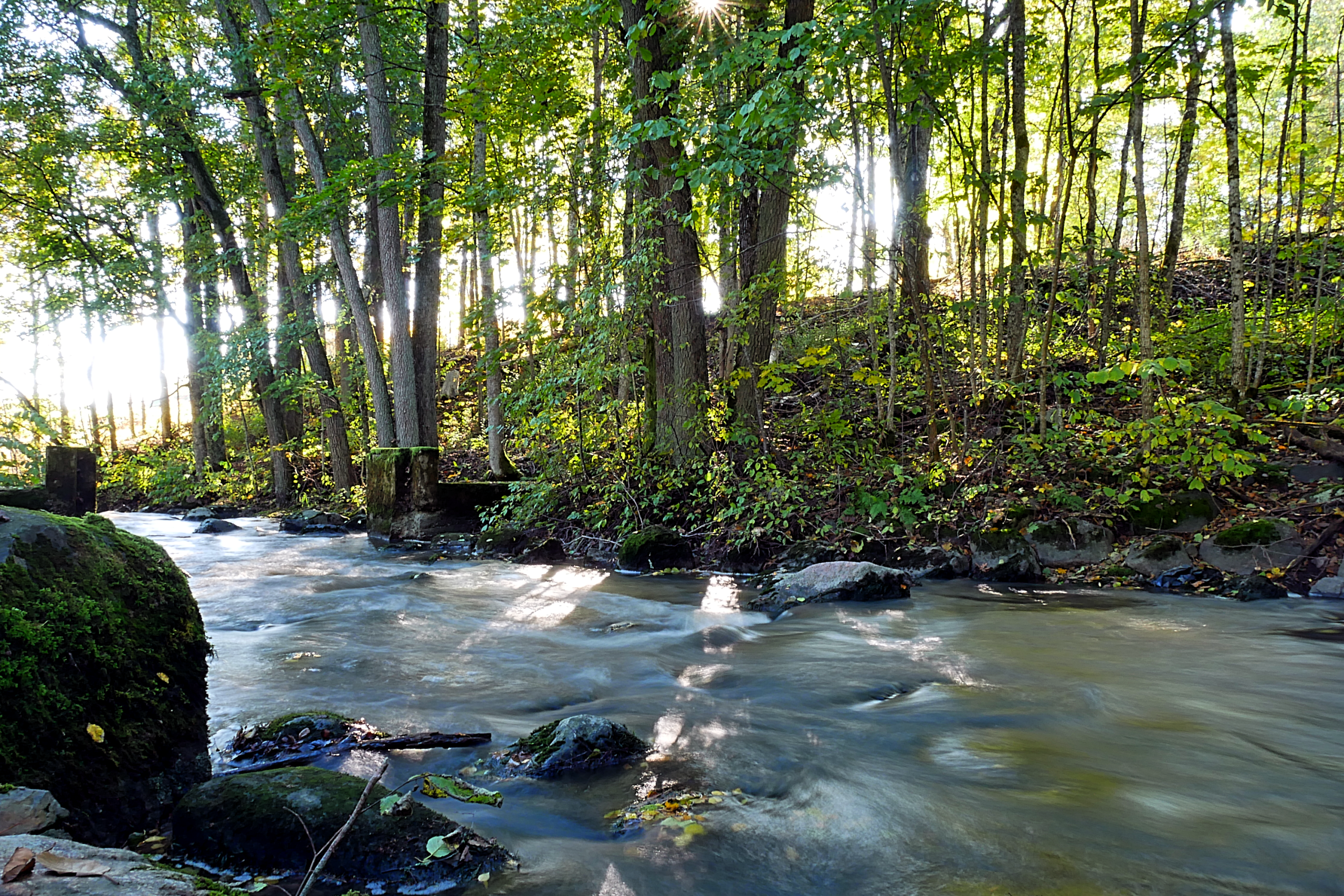 Mankinjoen kunnostus kytkee Espoonlahden ja Itämeren samaan vesiketjuun