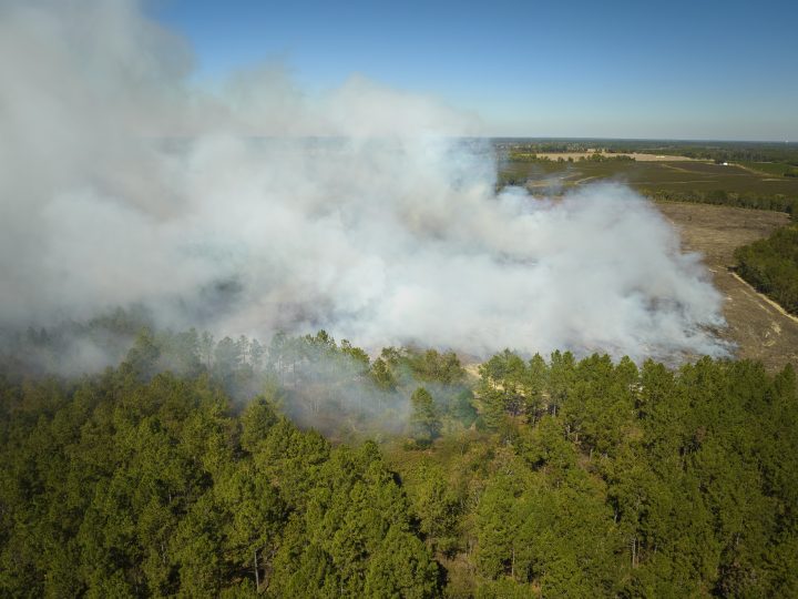 Metsäpalojen tähystyslentokausi käynnistyi – Nuuksion retkeilijöille ajankohtainen muistutus
