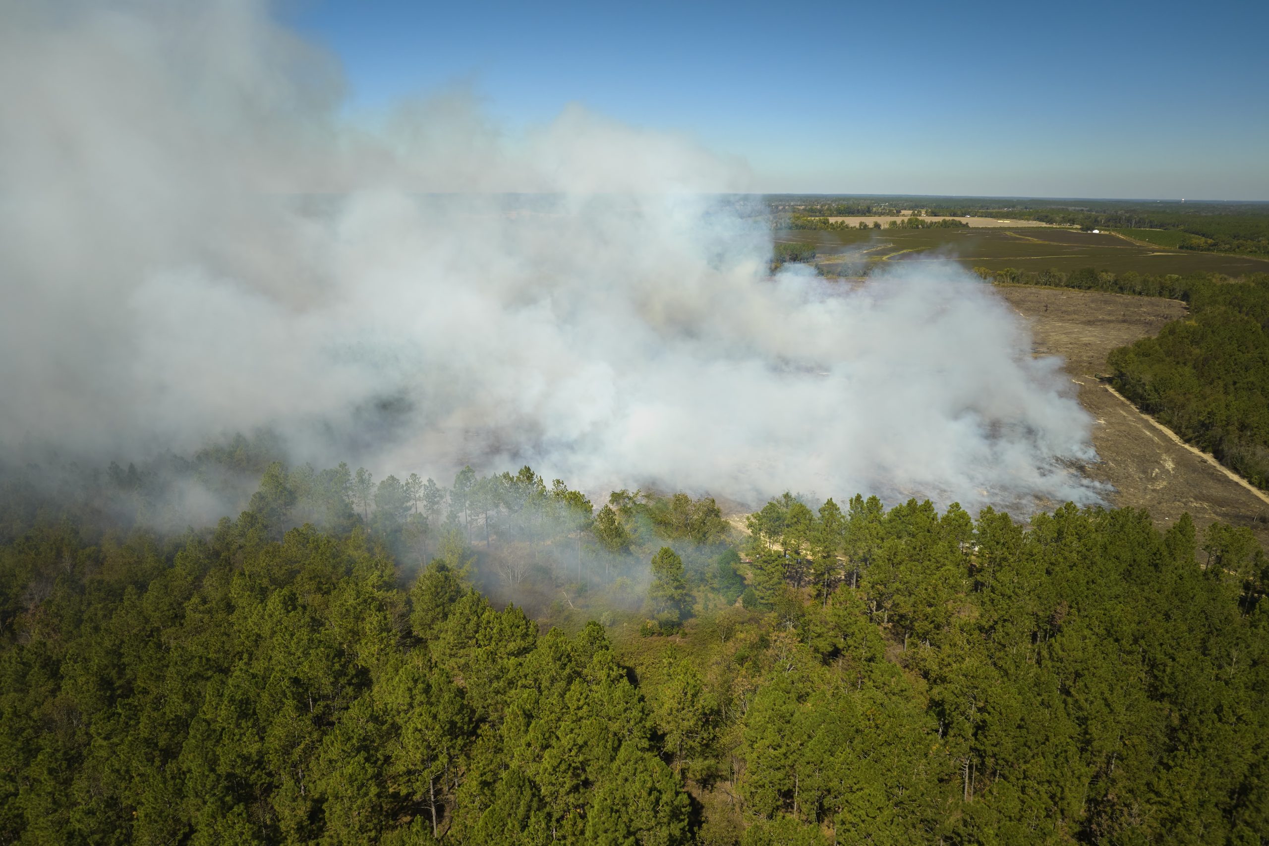 Metsäpalojen tähystyslentokausi käynnistyi – Nuuksion retkeilijöille ajankohtainen muistutus