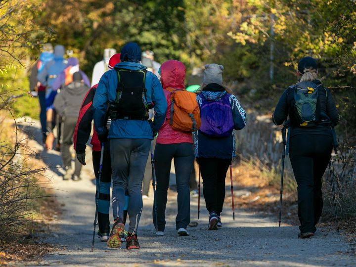 Espoon menovinkit 19.4.2026: kirpputori, klassinen messu, Glimsin kimallekalat ja Tatu ja Patu – 10 poimintaa