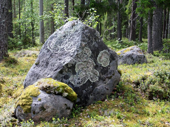 Maastopalovaroitus osui Espooseen poutaisen ja kuivan toukokuupäivän keskellä