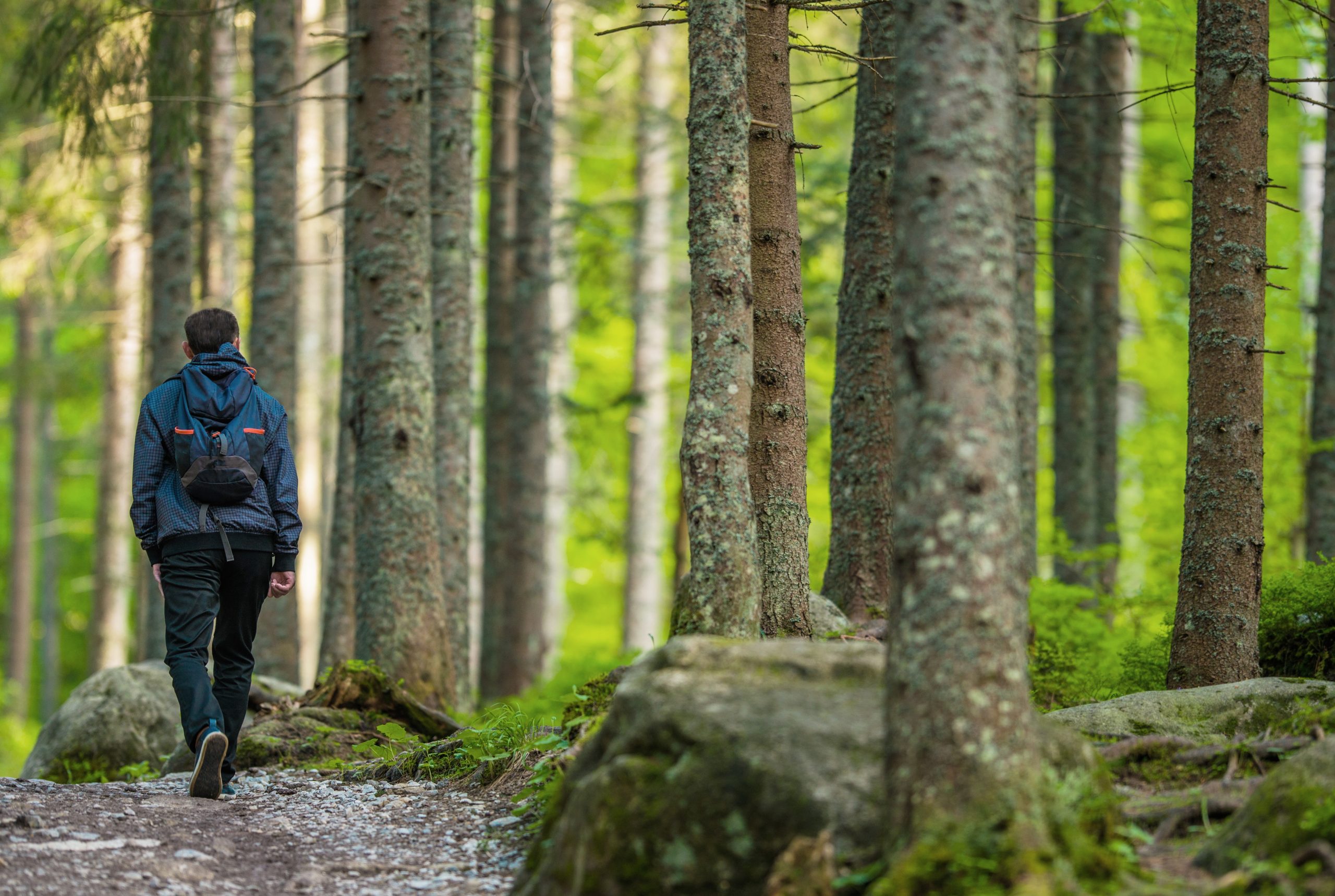 Espoon menovinkit 23.5.2026: parkrun, Haltian avajaiset, paikallisravit, kierrätyspäivä ja iltamusiikki – 10 poimintaa