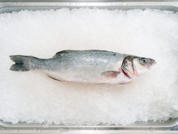 Sellon kalatiskin kylmäongelma nosti Oiva-raportit Espoon ostoskoriin