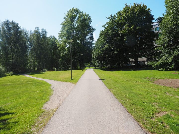 Suuri kaupunkipuu viilentää, vaimentaa ja kutsuu liikkeelle