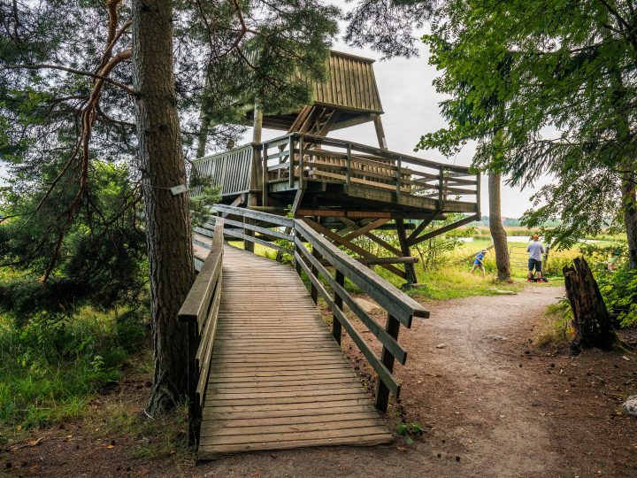 Laajalahden lintuseuranta paljastaa hiljaisen muutoksen – tavalliset lajit harvenevat