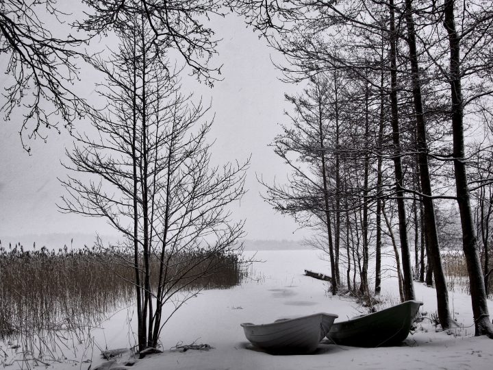 Oittaan tulevaisuudelle selvä suunta: luonto ensin, kartano takaisin käyttöön