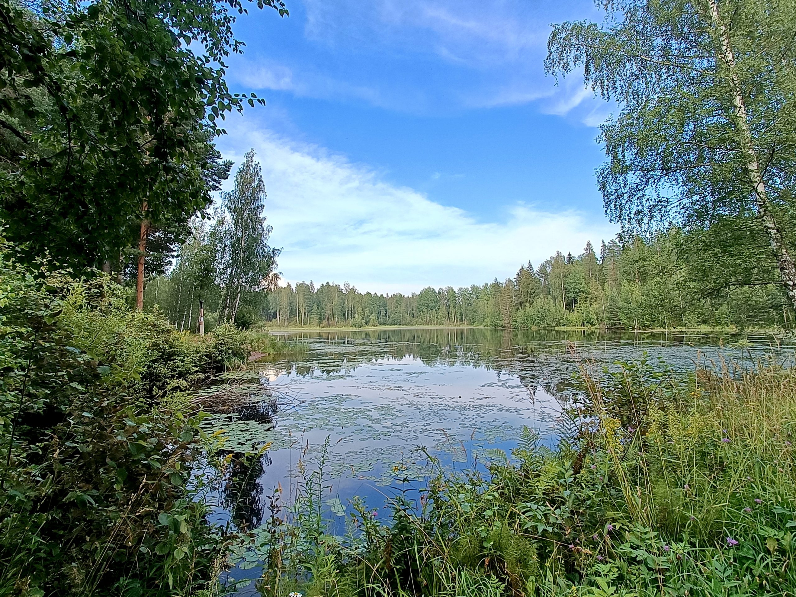 Lampi, lahopuu ja pesäpaikat nostivat Luontopihan Espoon pihakisan voittoon