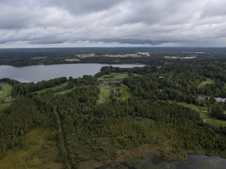 Droonitutkimus paljastaa puiden rakenteen aiempaa tarkemmin