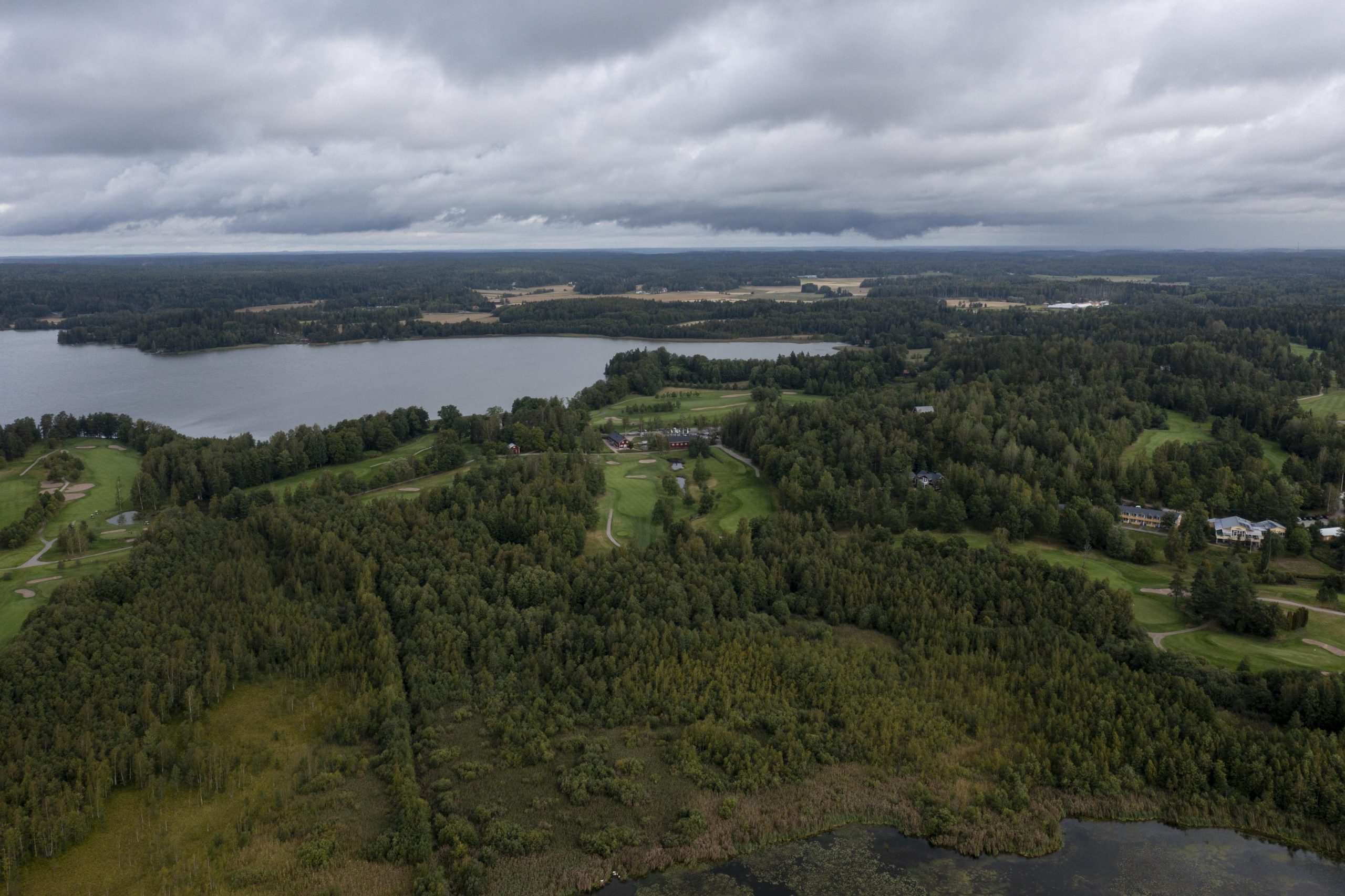 Droonitutkimus paljastaa puiden rakenteen aiempaa tarkemmin