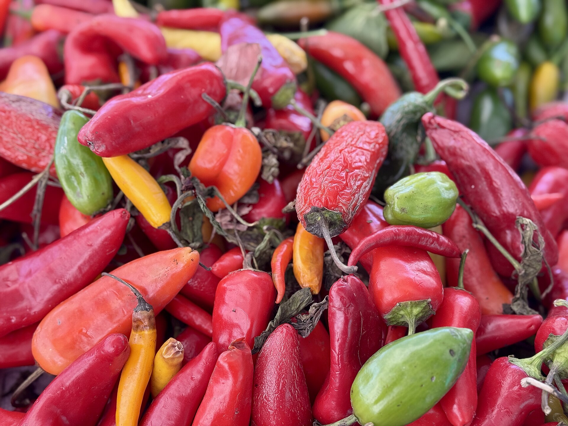 Coop Chopped Chili takaisinvetoon – tarkista päiväys 31.7.2027